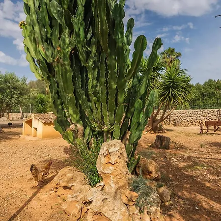 Country house Ideal Mallorca - Sa Rota *