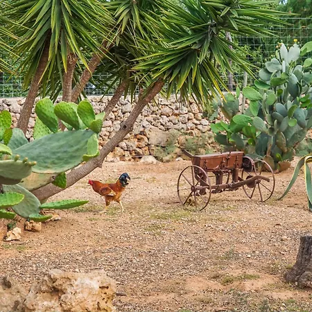 Ideal Mallorca - Sa Rota Santa Margalida